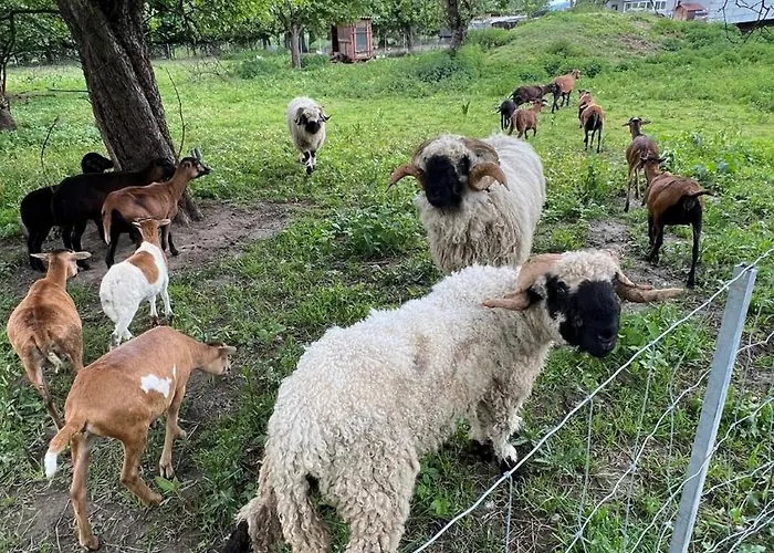 בית נופש Danner